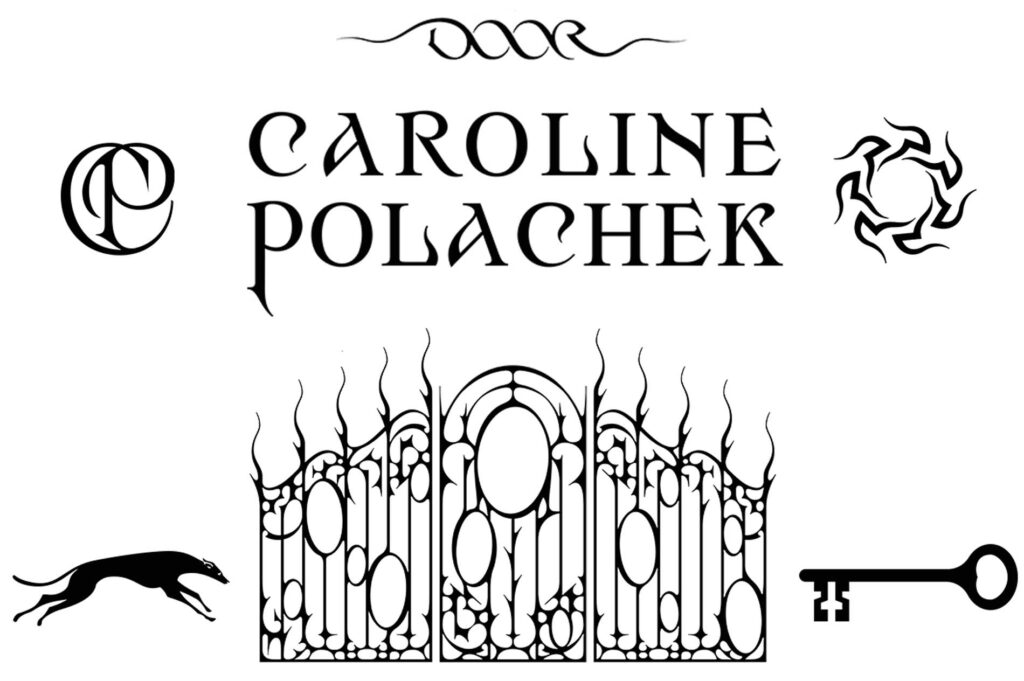 Caroline Polachek banner